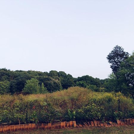 Laforesta By Mahabaleshwar Stay Exteriör bild