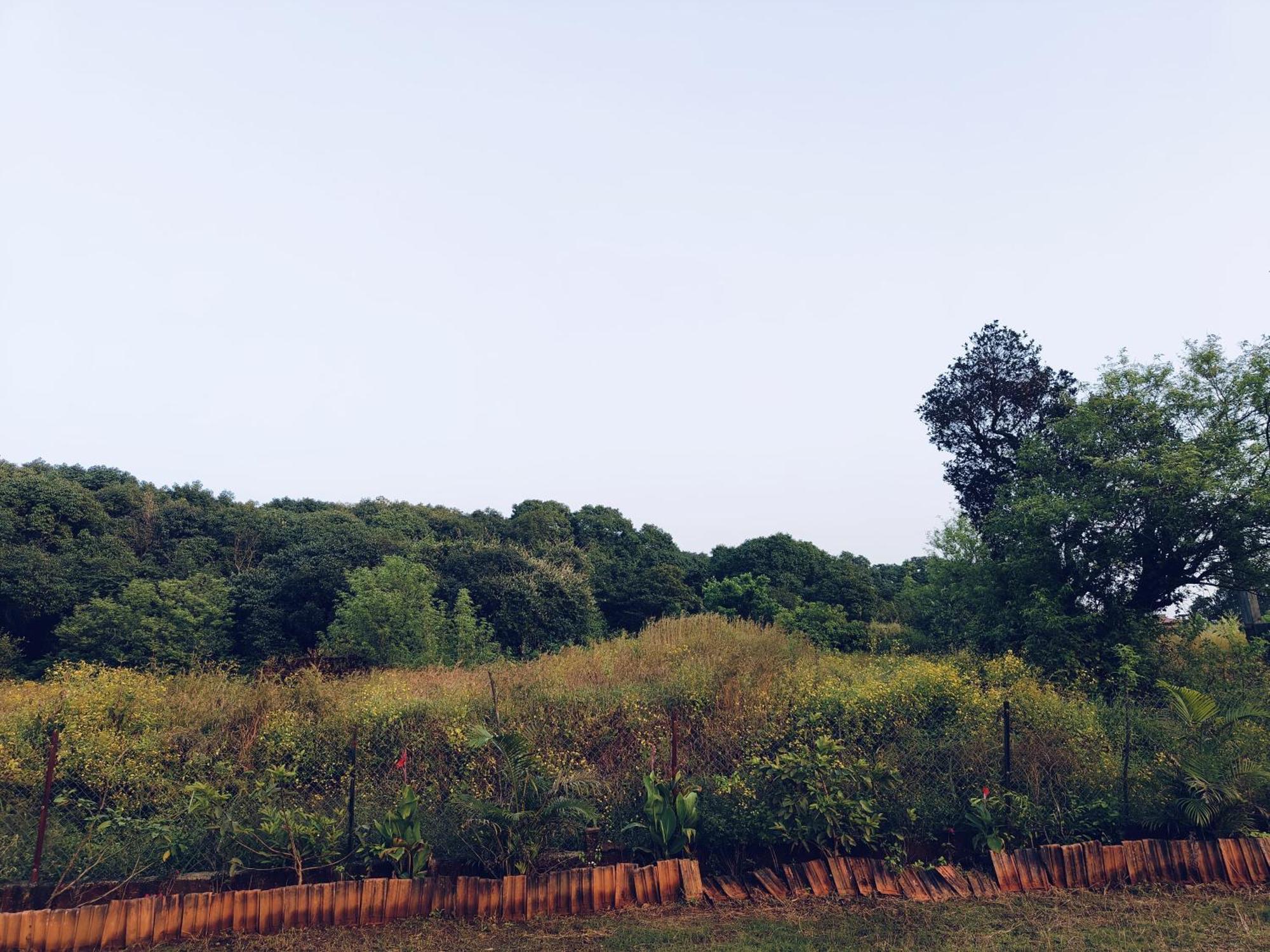 Laforesta By Mahabaleshwar Stay Exteriör bild